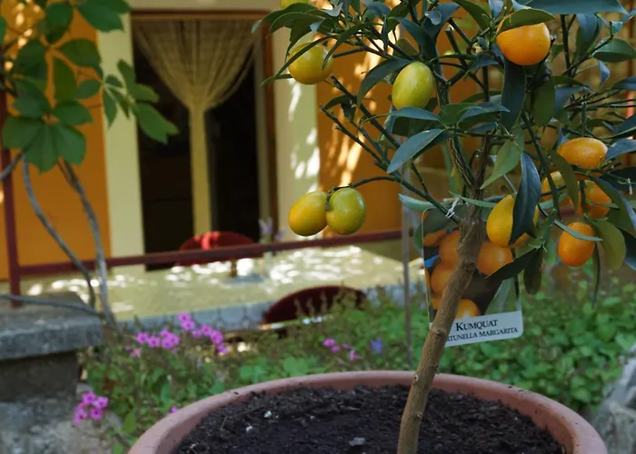 Family Friendly House With A Parking Space Nerezine, Losinj - 17984 Ferienhaus Nerezine