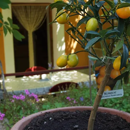 Family Friendly House With A Parking Space Nerezine, Losinj - 17984 Ferienhaus Nerezine